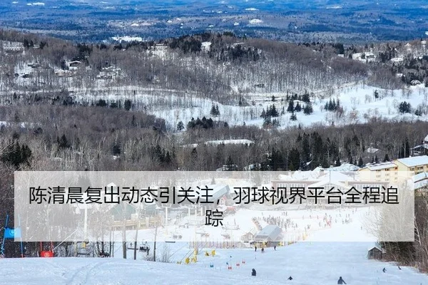 陈清晨复出动态引关注，羽球视界平台全程追踪